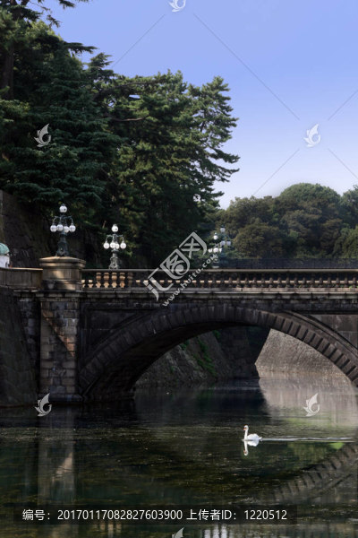 日本天鵝橋
