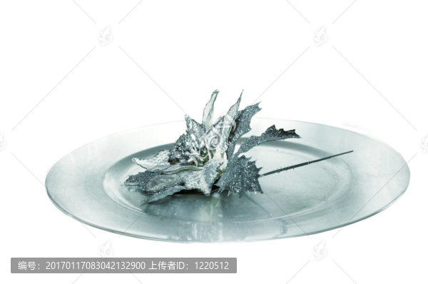 美麗的圣誕裝飾板