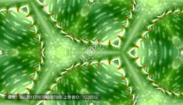 無縫綠色仙人掌模式夏普