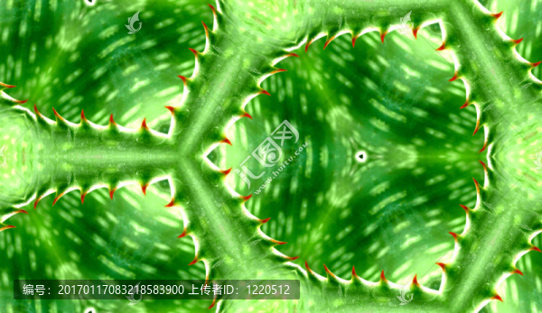 無縫綠色仙人掌模式夏普
