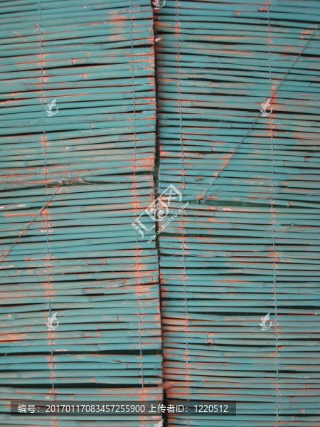 藍(lán)色的蘆葦