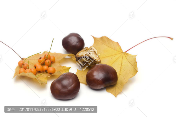 休假安排