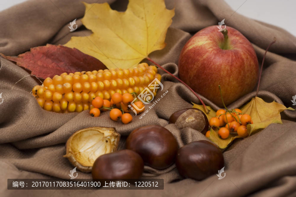 休假安排