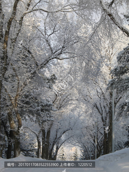 冰雪覆蓋的道路
