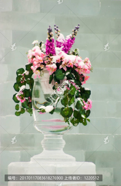 冬天的花