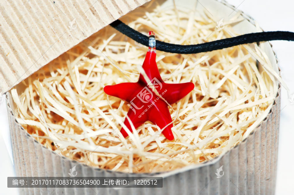 紅海星項鏈