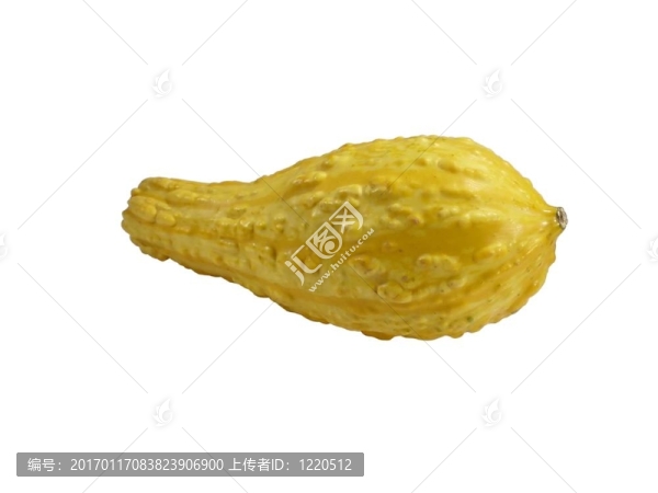 黃南瓜