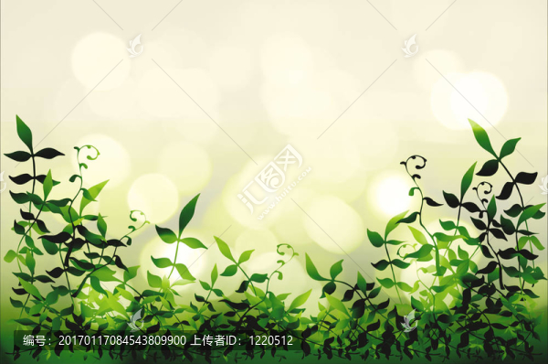 葉子的邊緣