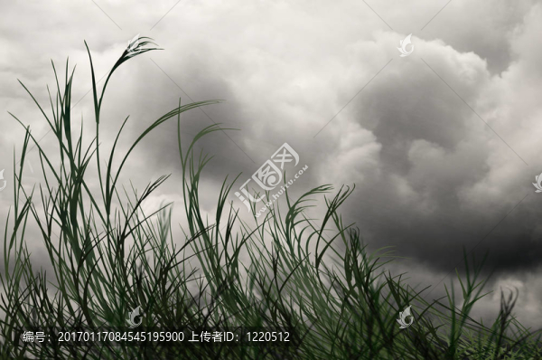 大風(fēng)