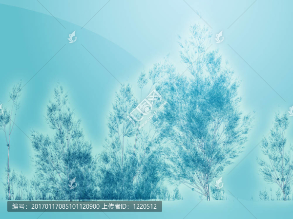 白樺樹的插圖