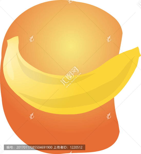 香蕉果實(shí)的插圖