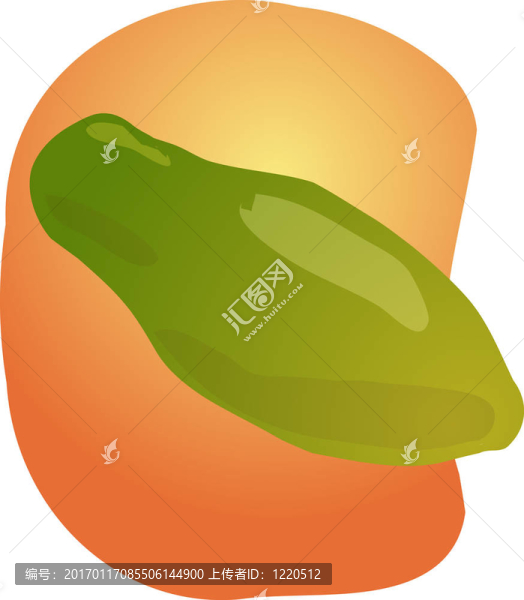番木瓜果實(shí)插圖