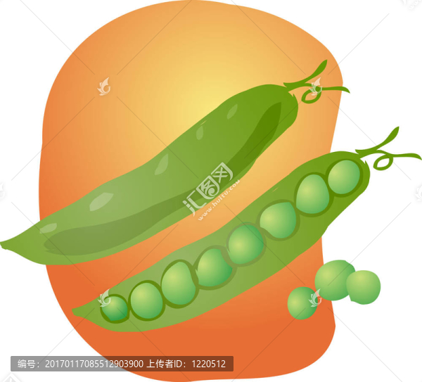 豌豆的插圖