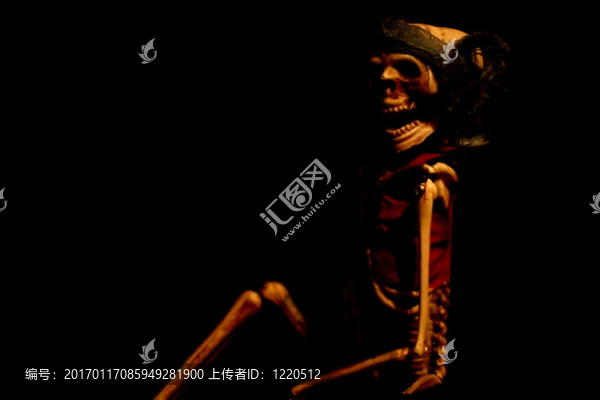 骨架