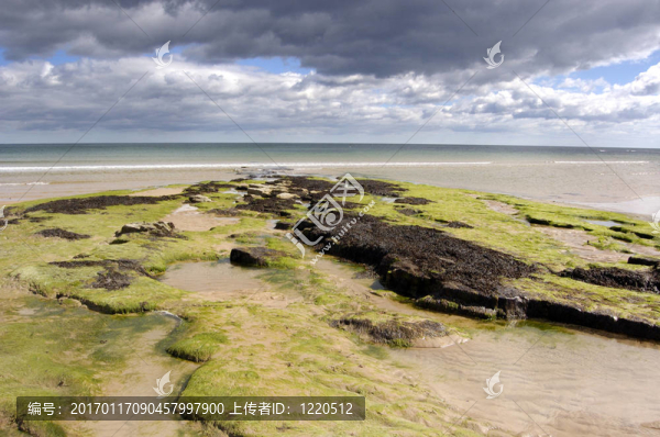 在Dunstanburgh海灘