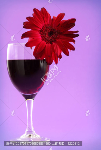 紅葡萄酒和非洲菊