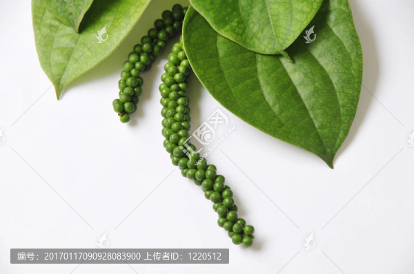 青椒