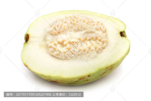 半番石榴