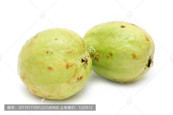 番石榴
