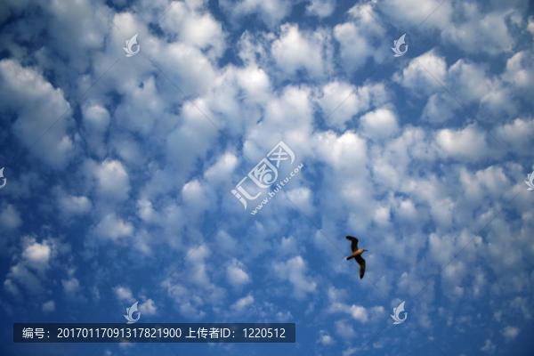 積云