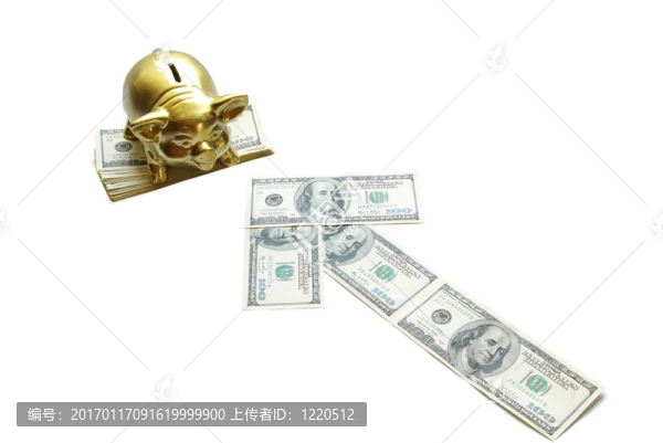 撲滿