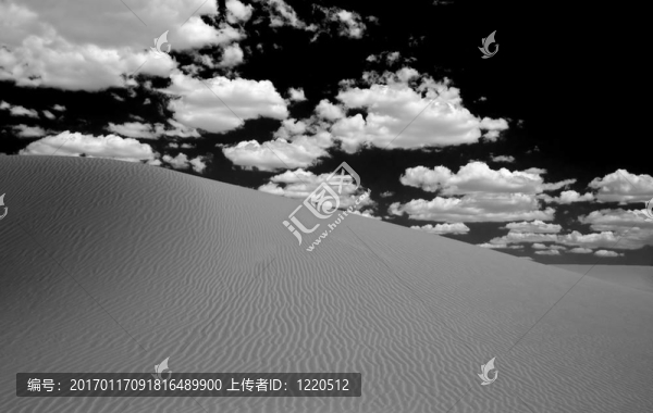 沙漠