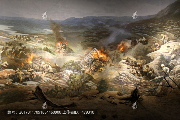 展區(qū),博物館,歷史