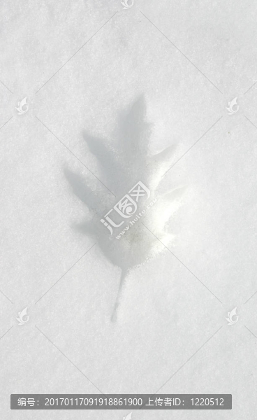 樹葉印花