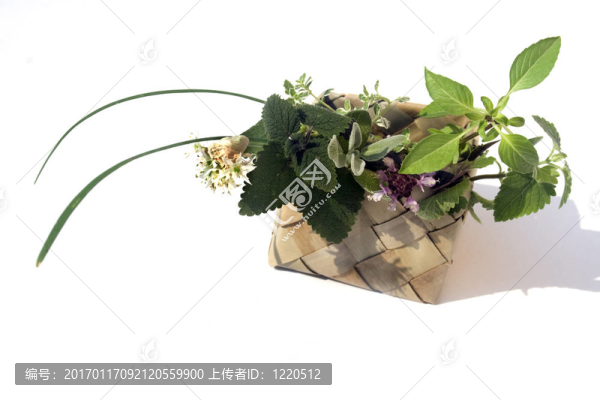 籃子里的新鮮香草