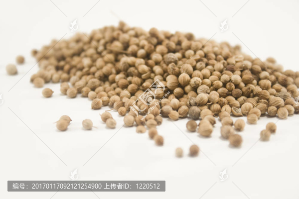 香菜