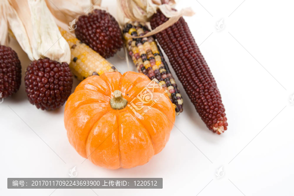 南瓜