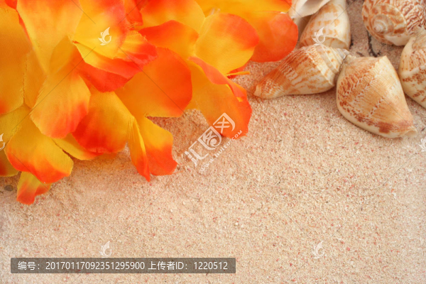 夏威夷海灘背景
