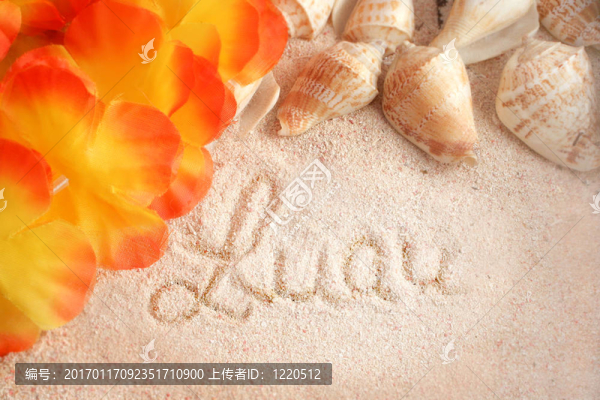 夏威夷海灘背景