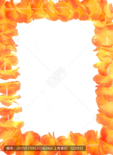 夏威夷花環(huán)框架
