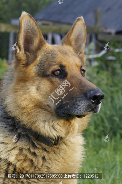 培訓(xùn)期間-匯圖網(wǎng) www.fosd68.com 培訓(xùn)期間