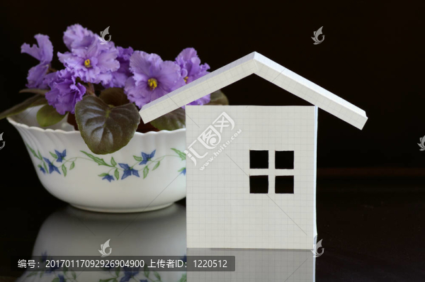 房子和花
