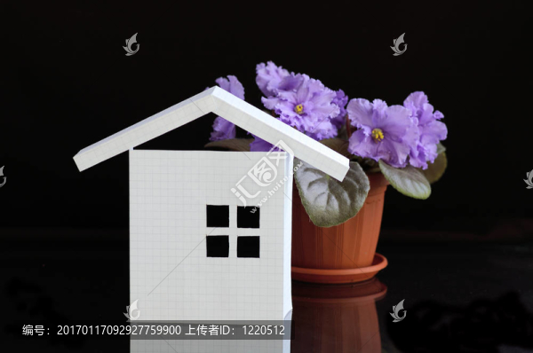 關于房子的夢想