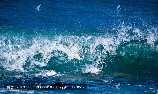 海洋中的波浪