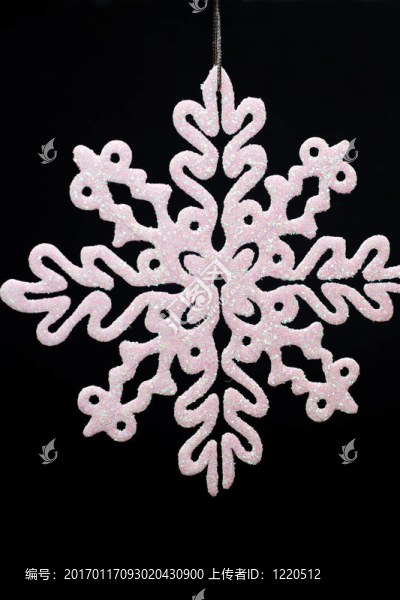 雪花在BLA