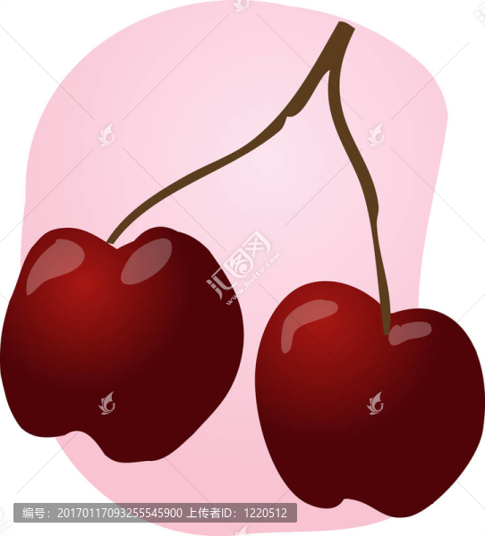 櫻桃果實的插圖