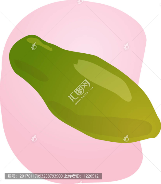 番木瓜果實(shí)插圖