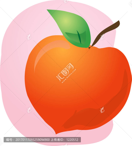 桃果實(shí)的插圖