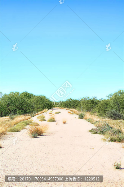 沙漠公路
