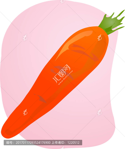 胡蘿卜的插圖