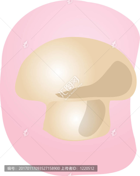 蘑菇的插圖