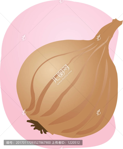 洋蔥的插圖