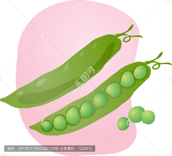 豌豆的插圖