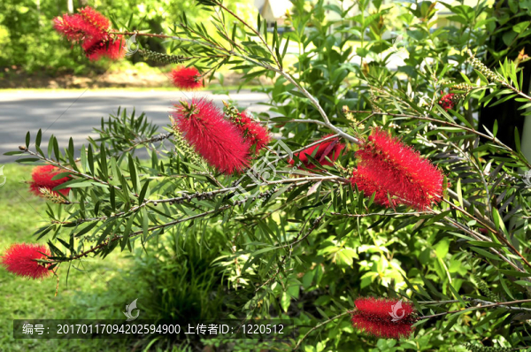 紅瓶刷廠