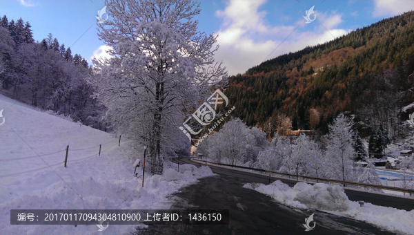 北方的雪