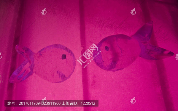 粉紅色的魚